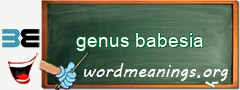 WordMeaning blackboard for genus babesia